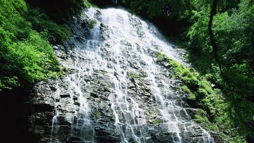智能智能化